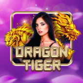 Dragon Tiger on WK777 live casino